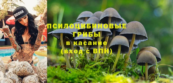 дживик Волосово